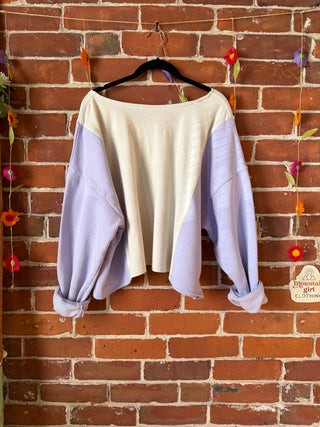 OOAK Autumn Collection- Size Medium Upcycled Pink Floyd Cropped Hybrid Tshirt Sweatshirt Top