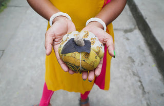 Medium- Mystery Recycled Saree Pumpkin